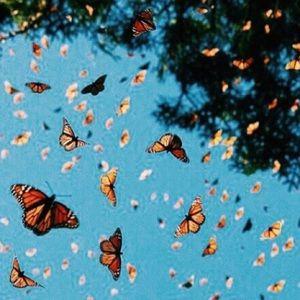 Meet your Posher, Danny